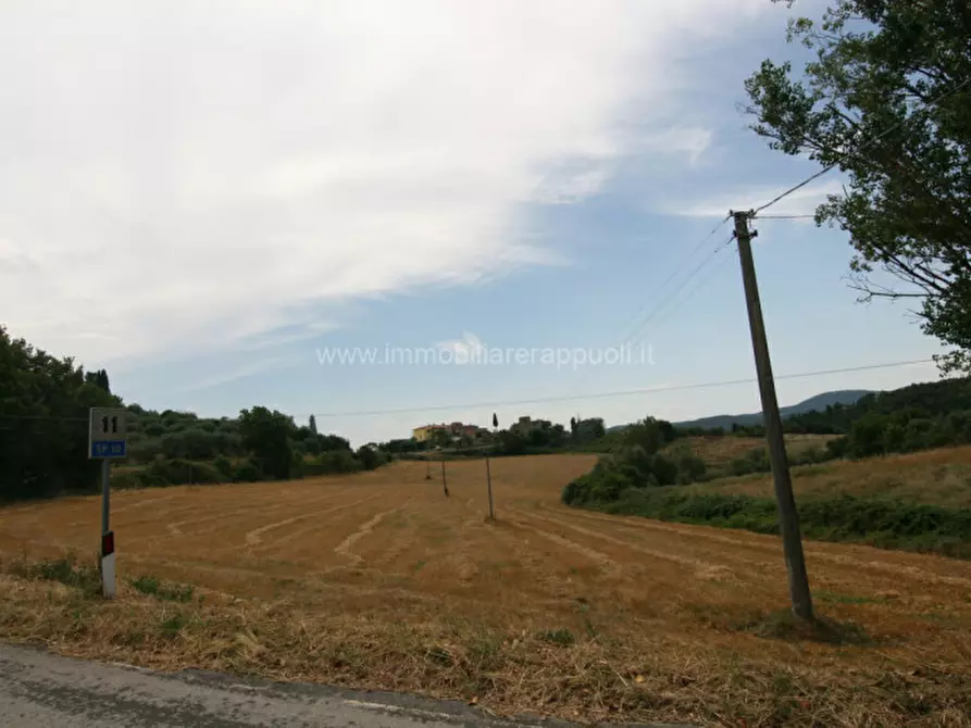 Immagine 2 di Terreno in vendita  a Sinalunga