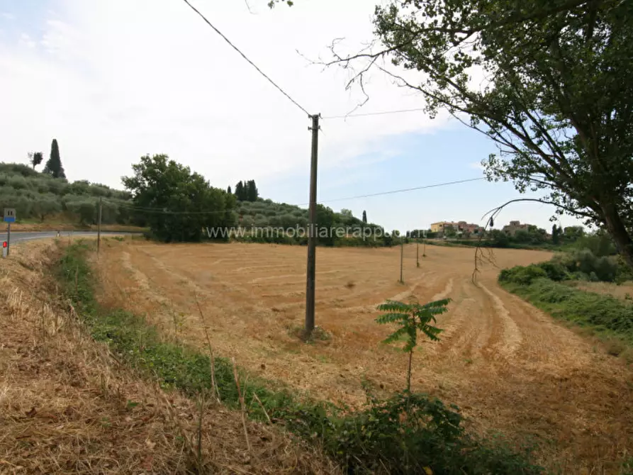 Immagine 3 di Terreno in vendita  a Sinalunga