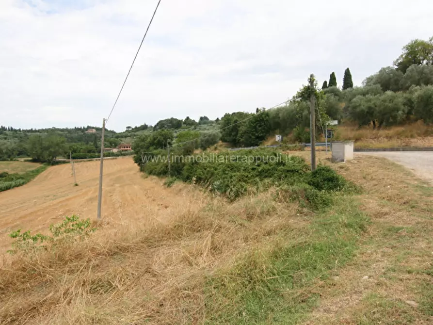 Immagine 4 di Terreno in vendita  a Sinalunga