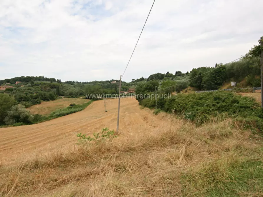 Immagine 5 di Terreno in vendita  a Sinalunga