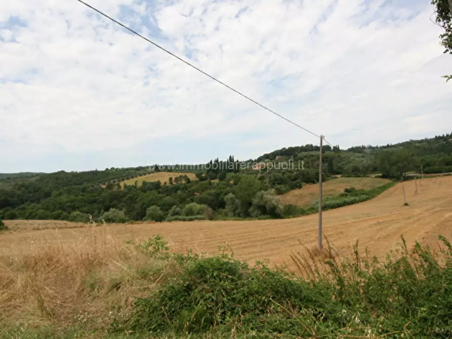 Immagine 6 di Terreno in vendita  a Sinalunga