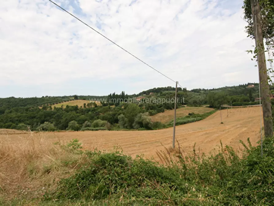 Immagine 7 di Terreno in vendita  a Sinalunga