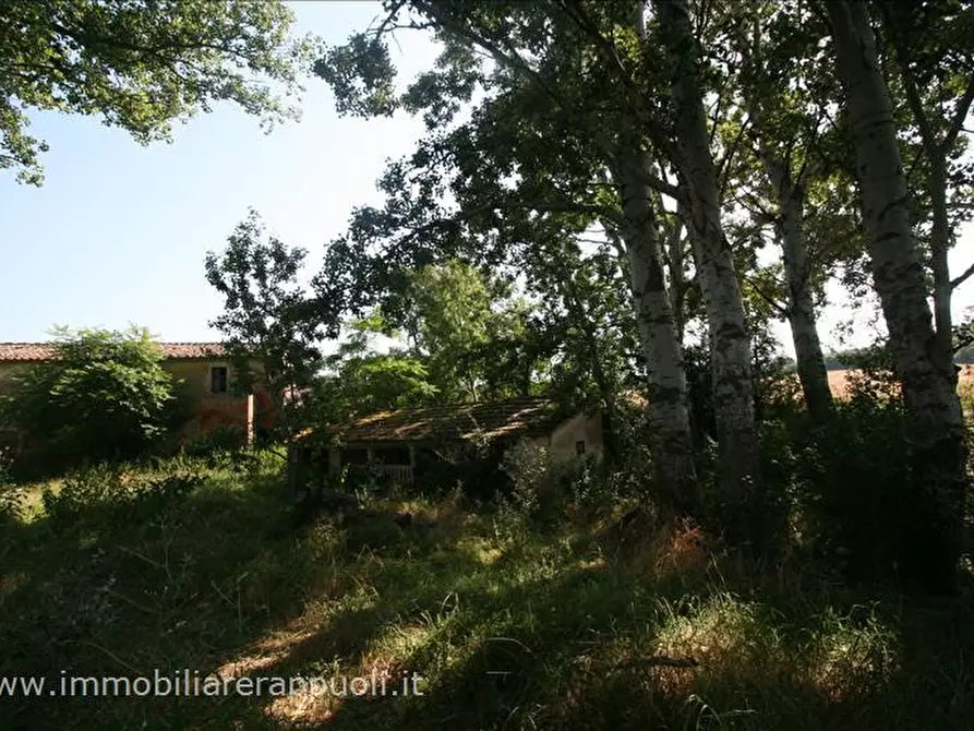 Immagine 2 di Rustico / casale in vendita  a Cortona