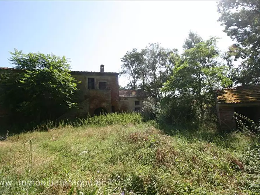 Immagine 3 di Rustico / casale in vendita  a Cortona