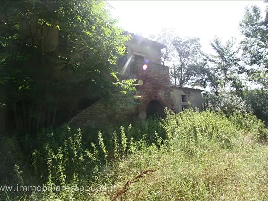 Immagine 4 di Rustico / casale in vendita  a Cortona