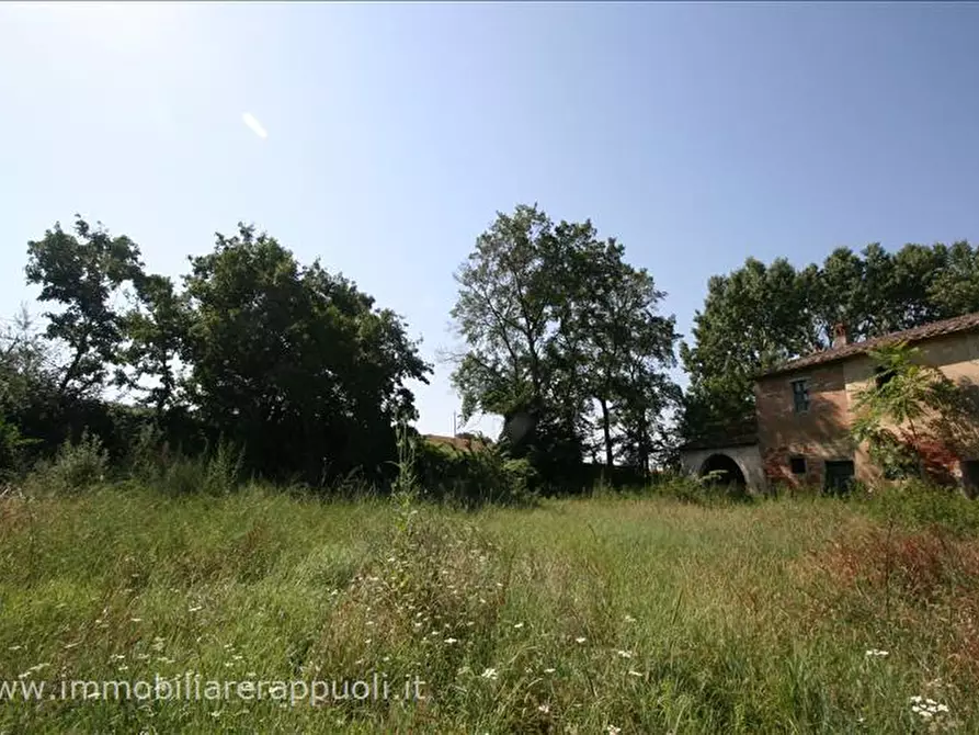 Immagine 7 di Rustico / casale in vendita  a Cortona