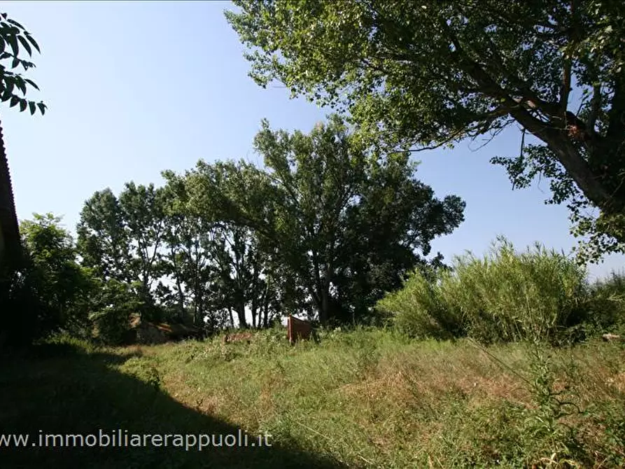 Immagine 8 di Rustico / casale in vendita  a Cortona