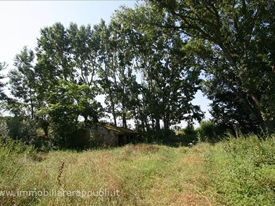 Immagine 9 di Rustico / casale in vendita  a Cortona