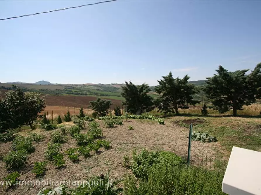 Immagine 2 di Attività commerciale in vendita  a Radicofani