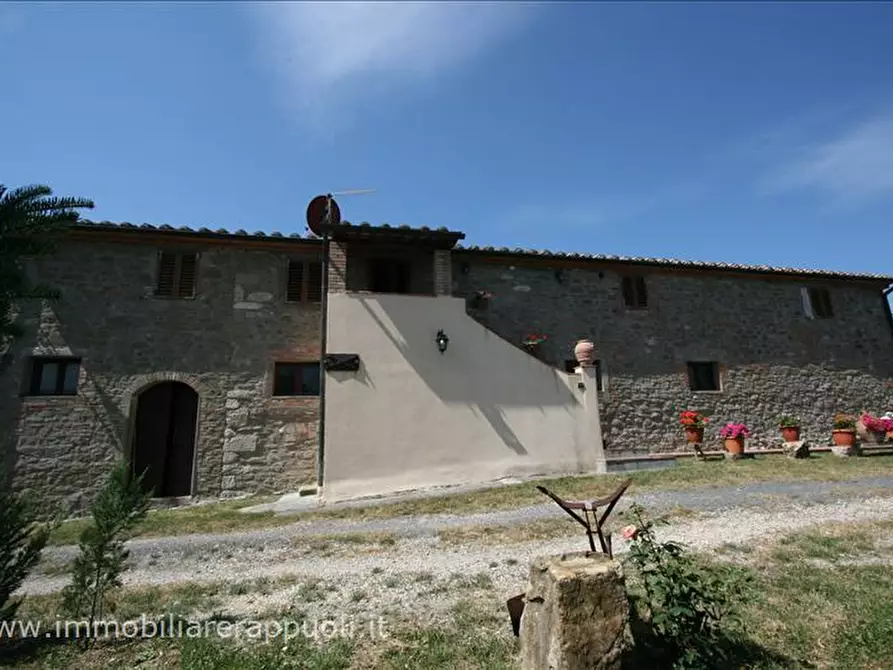 Immagine 3 di Attività commerciale in vendita  a Radicofani