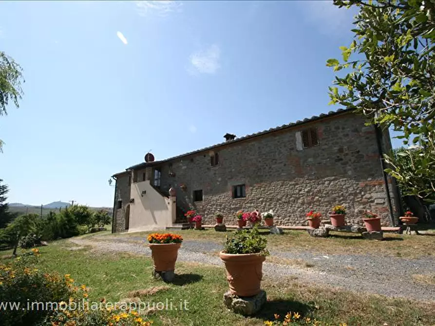 Immagine 4 di Attività commerciale in vendita  a Radicofani