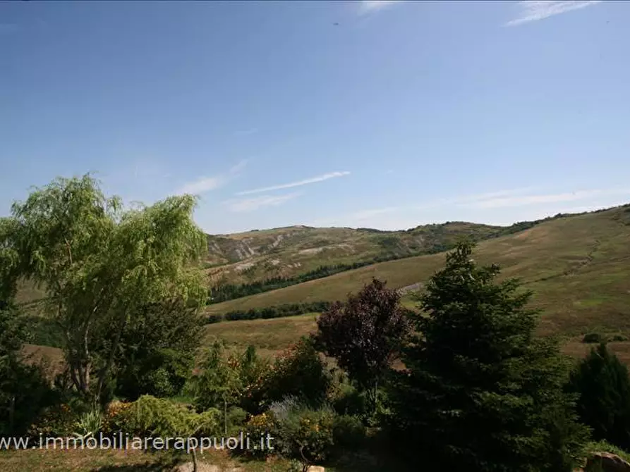 Immagine 5 di Attività commerciale in vendita  a Radicofani