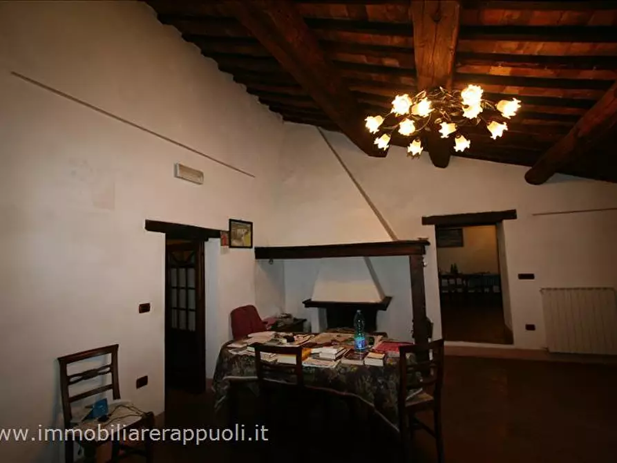 Immagine 18 di Attività commerciale in vendita  a Radicofani