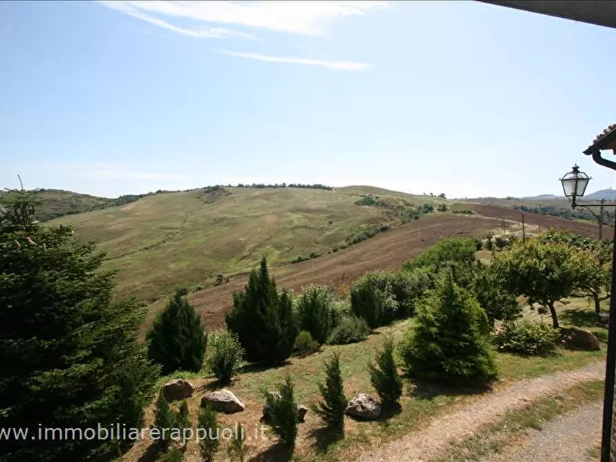 Immagine 19 di Attività commerciale in vendita  a Radicofani