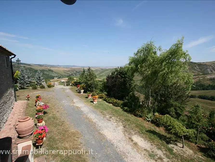 Immagine 20 di Attività commerciale in vendita  a Radicofani