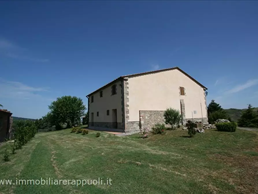 Immagine 31 di Attività commerciale in vendita  a Radicofani