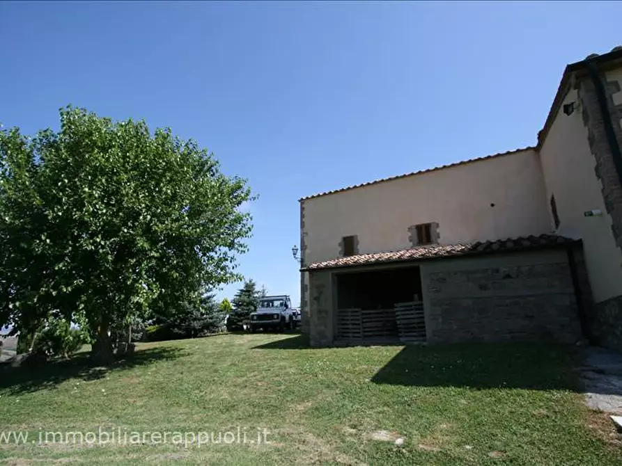 Immagine 33 di Attività commerciale in vendita  a Radicofani