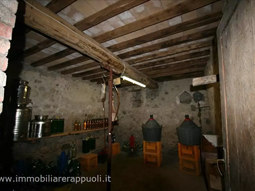 Immagine 36 di Attività commerciale in vendita  a Radicofani