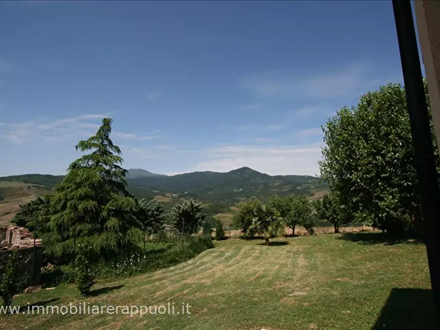 Immagine 37 di Attività commerciale in vendita  a Radicofani