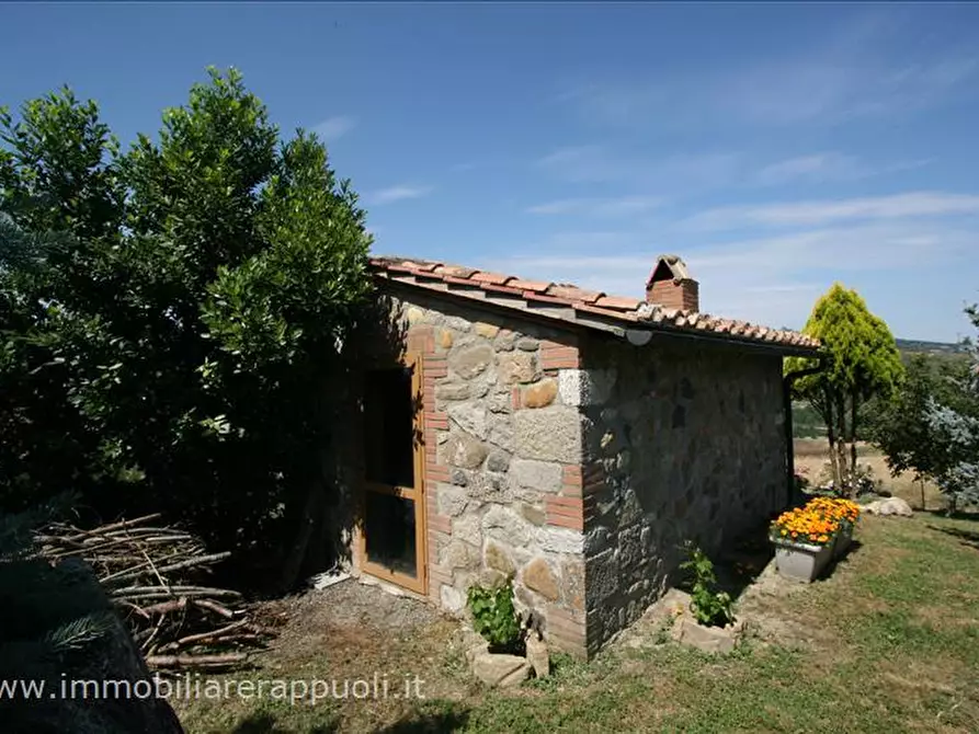 Immagine 40 di Attività commerciale in vendita  a Radicofani