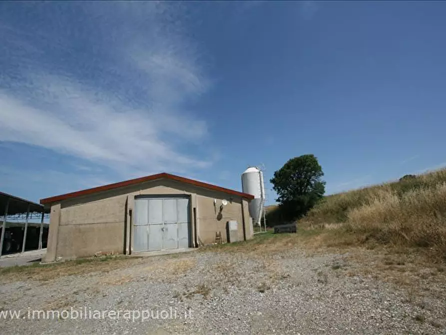 Immagine 41 di Attività commerciale in vendita  a Radicofani