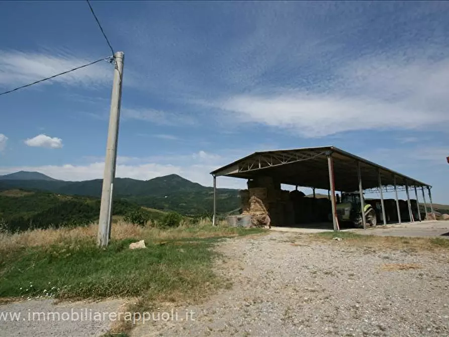 Immagine 42 di Attività commerciale in vendita  a Radicofani