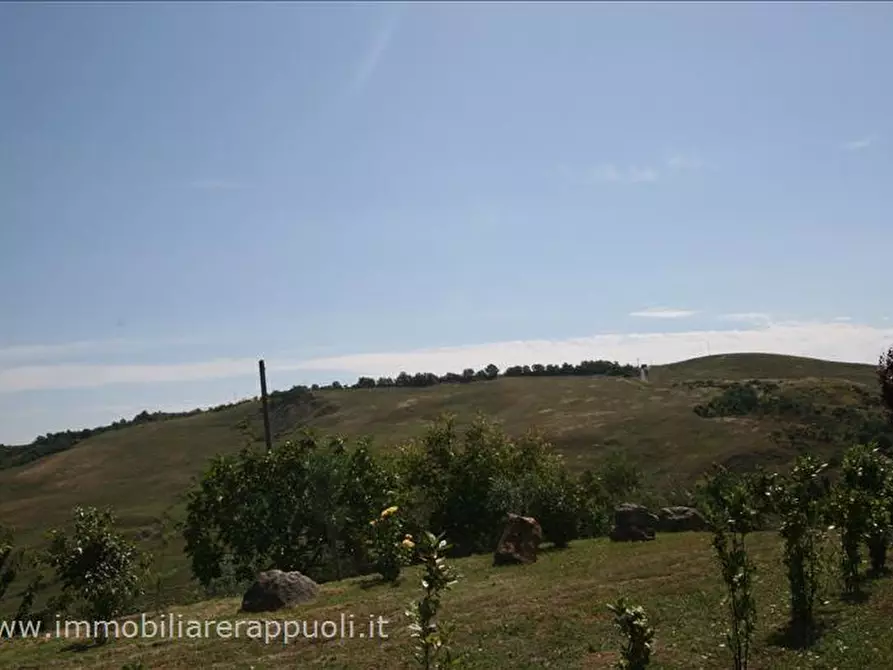 Immagine 43 di Attività commerciale in vendita  a Radicofani