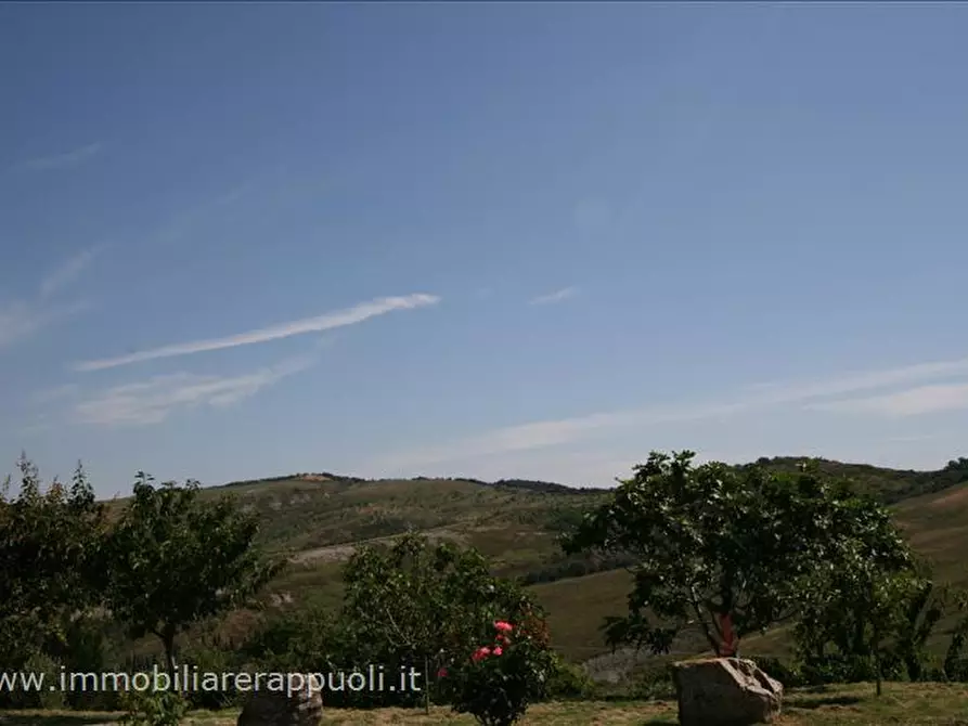 Immagine 44 di Attività commerciale in vendita  a Radicofani