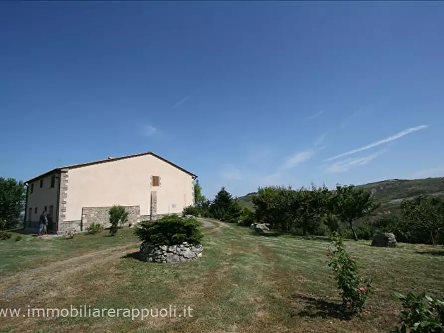 Immagine 45 di Attività commerciale in vendita  a Radicofani