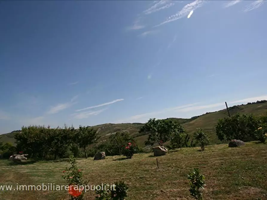 Immagine 46 di Attività commerciale in vendita  a Radicofani