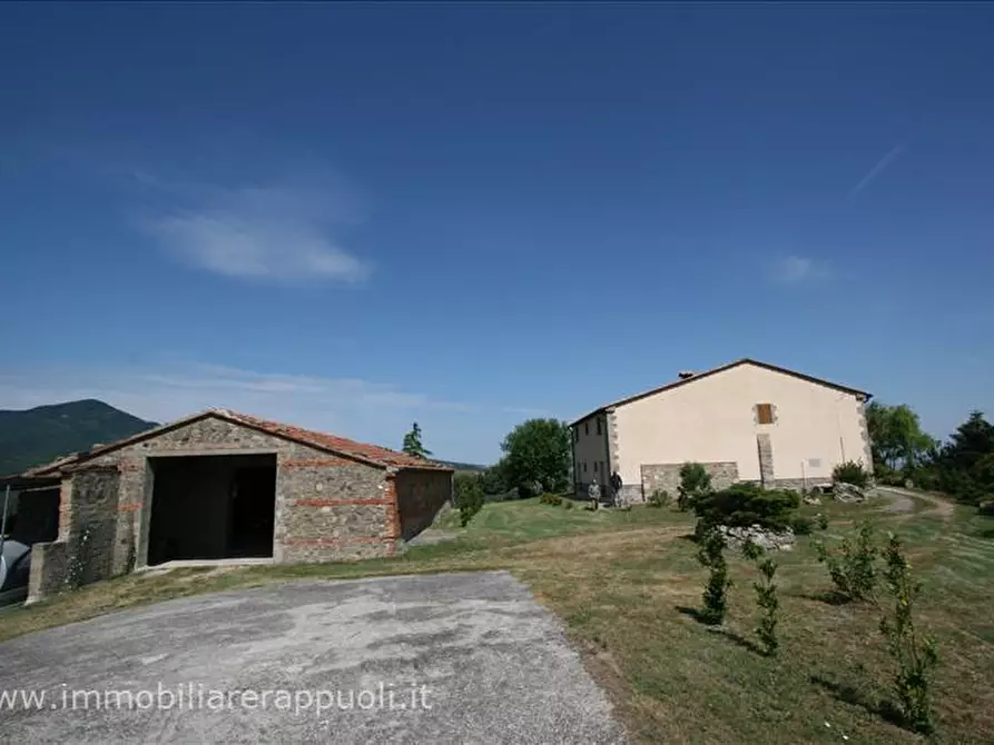 Immagine 47 di Attività commerciale in vendita  a Radicofani