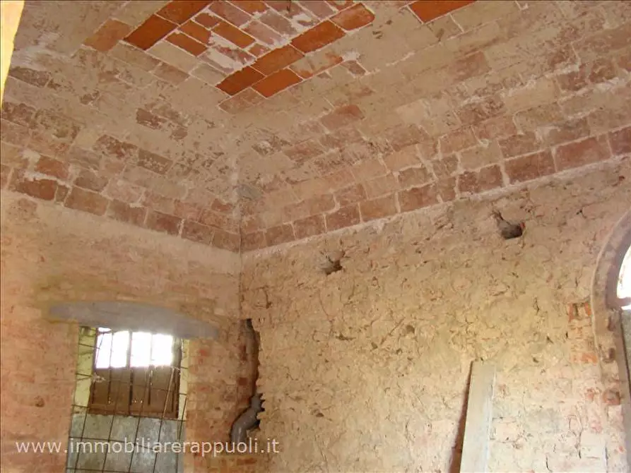 Immagine 3 di Rustico / casale in vendita  a Sinalunga