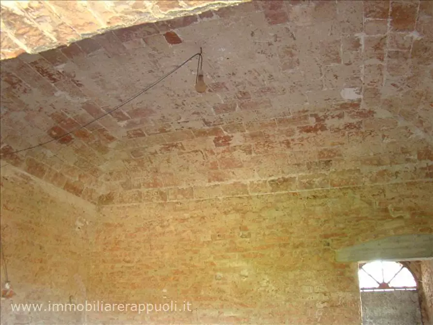 Immagine 4 di Rustico / casale in vendita  a Sinalunga