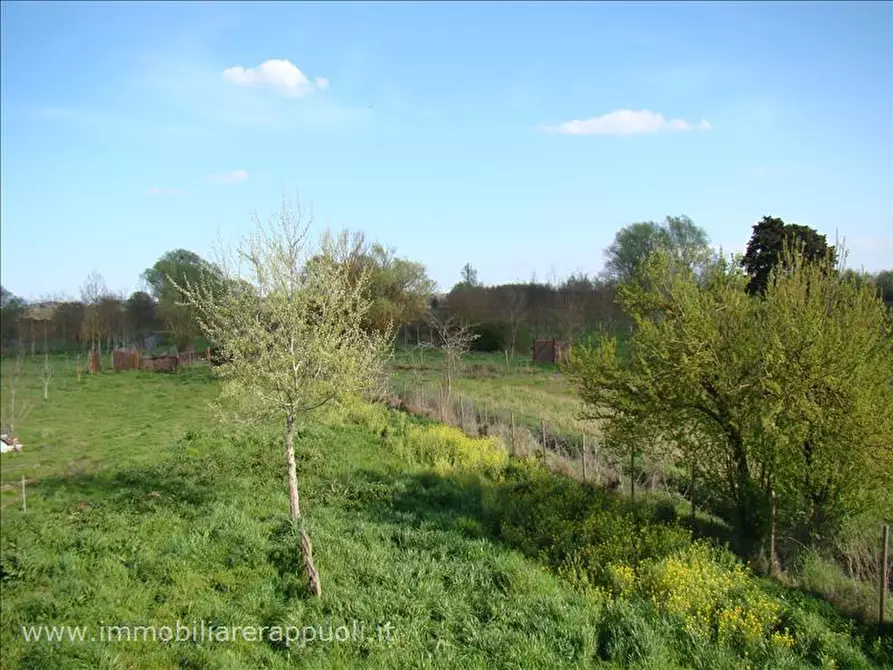 Immagine 7 di Rustico / casale in vendita  a Sinalunga