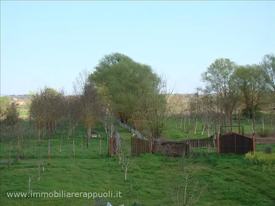 Immagine 8 di Rustico / casale in vendita  a Sinalunga