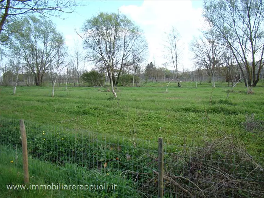 Immagine 9 di Rustico / casale in vendita  a Sinalunga