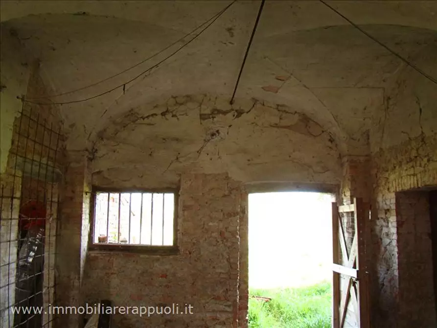 Immagine 11 di Rustico / casale in vendita  a Sinalunga