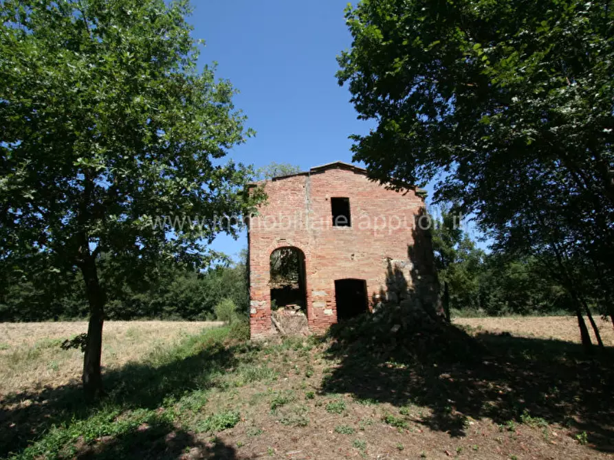 Immagine 1 di Rustico / casale in vendita  a Lucignano