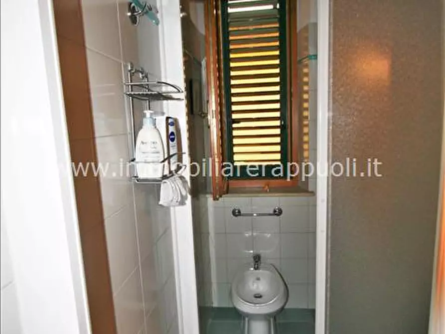 Immagine 9 di Casa indipendente in vendita  a Sinalunga