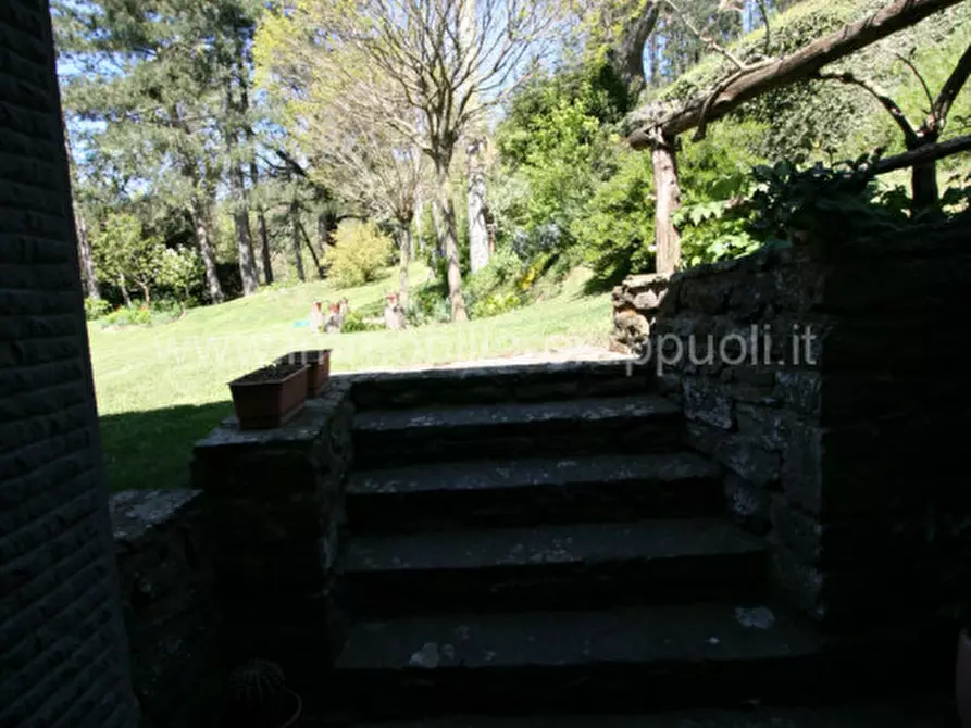 Immagine 22 di Rustico / casale in vendita  a Cortona