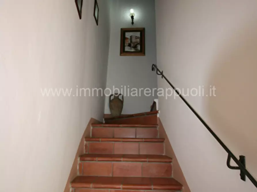 Immagine 26 di Rustico / casale in vendita  a Cortona