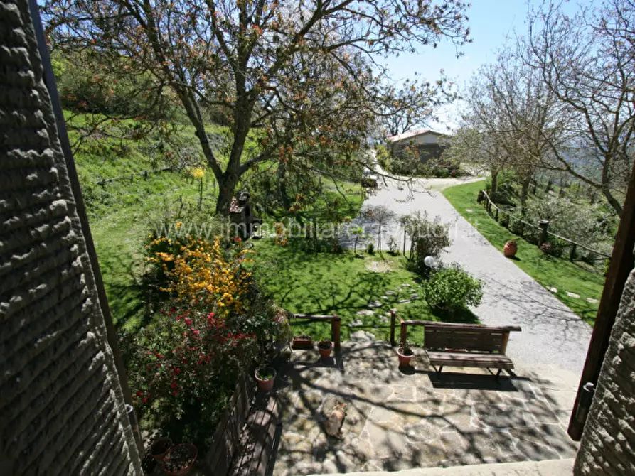 Immagine 31 di Rustico / casale in vendita  a Cortona