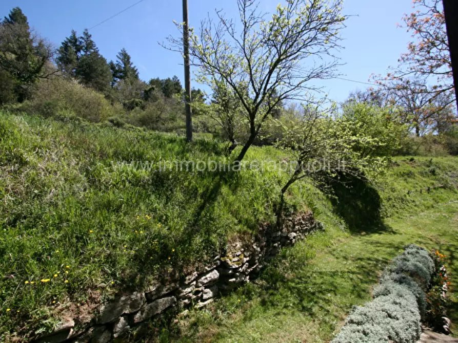 Immagine 34 di Rustico / casale in vendita  a Cortona