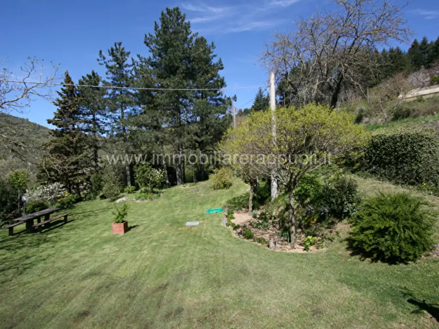 Immagine 35 di Rustico / casale in vendita  a Cortona