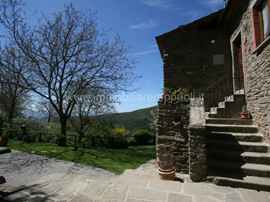 Immagine 37 di Rustico / casale in vendita  a Cortona