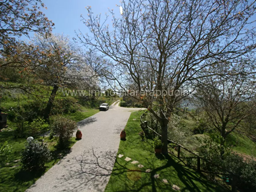 Immagine 38 di Rustico / casale in vendita  a Cortona