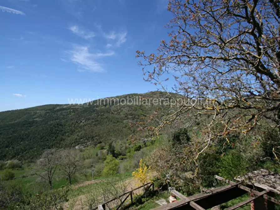 Immagine 39 di Rustico / casale in vendita  a Cortona