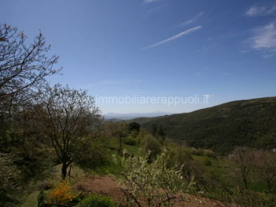 Immagine 40 di Rustico / casale in vendita  a Cortona