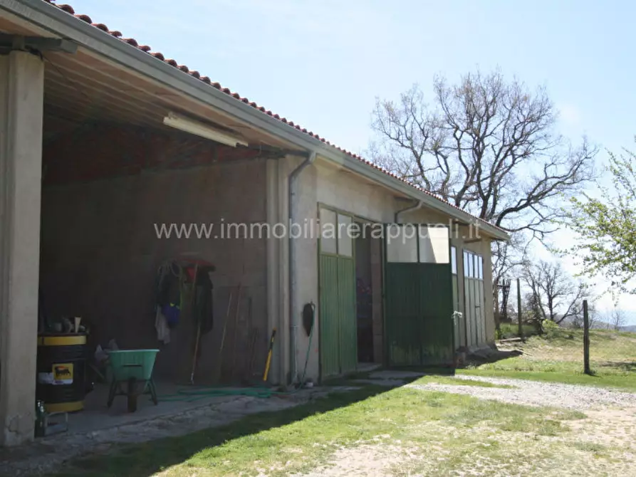 Immagine 45 di Rustico / casale in vendita  a Cortona