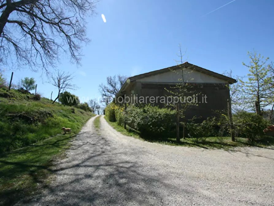 Immagine 46 di Rustico / casale in vendita  a Cortona